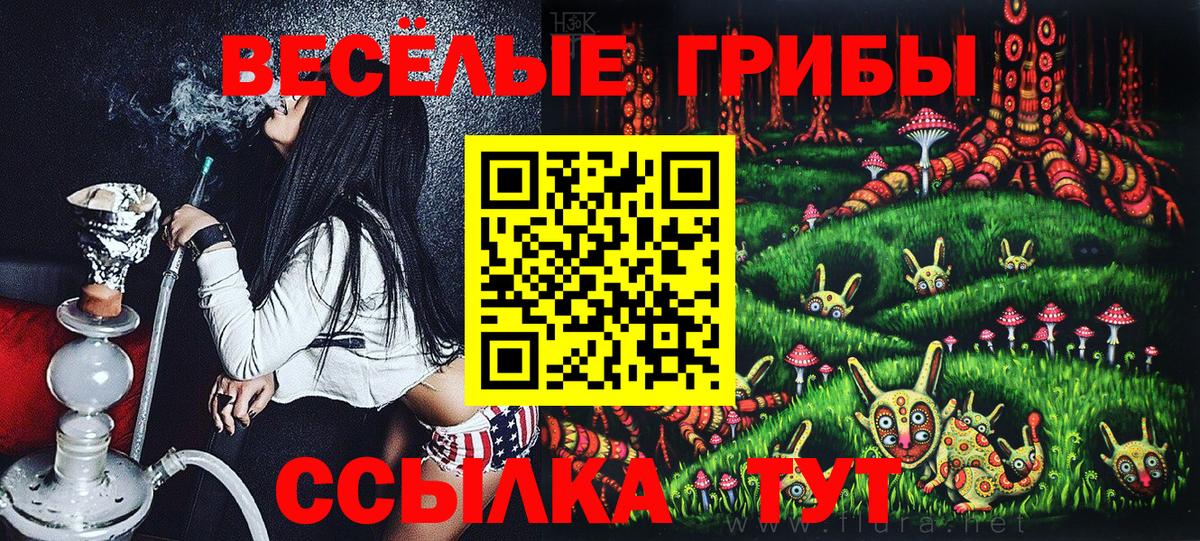 Дзержинск  Псилоцибиновые грибы GOLDEN TEACHER  Вход с VPN 